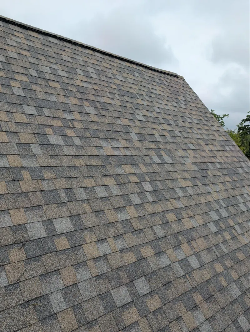 New tan architectural shingles on a roof slope